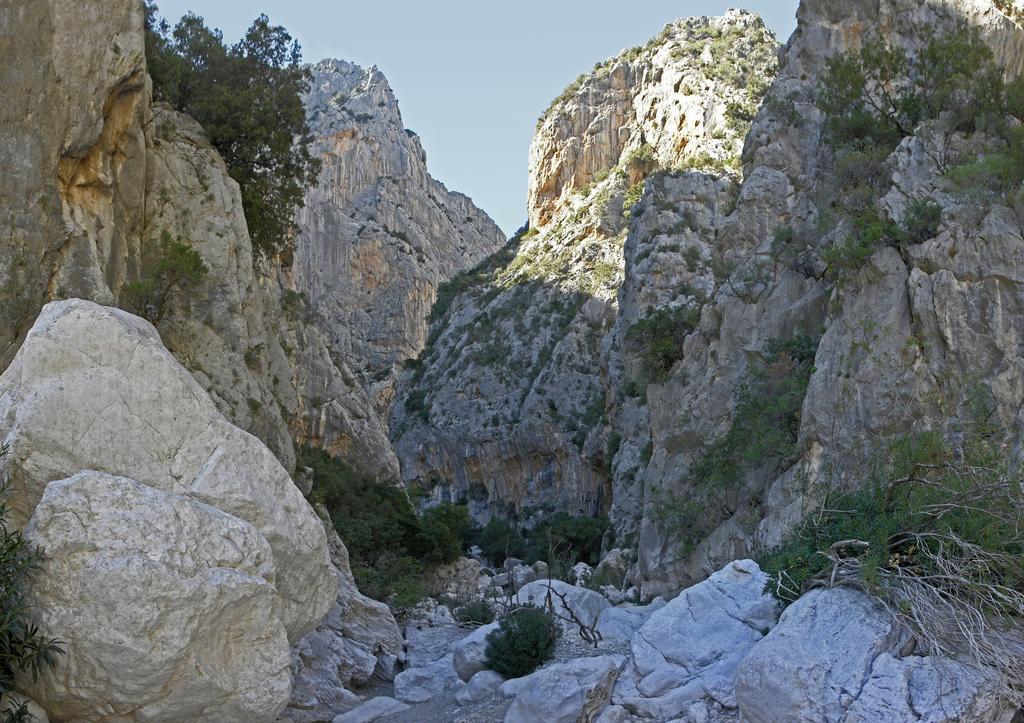 Appartamento Gli Ontani Cala Liberotto Værelse billede